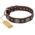 "Extra Pizzazz" FDT Artisan Adorned Brown Leather Cane Corso Collar