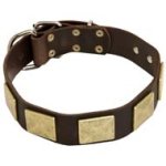 Best Decorated Leather Canine Collar for Large Dogs