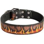 Adjustable Designer Dog Collar for Cane Corso Breed
