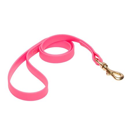 Pink Waterproof Cane Corso Leash Made of Biothane