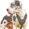 Classy Brass Studded Leather Dog Harness for Tallest Dog-Great Dane Breed