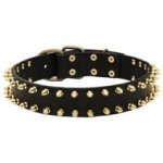 Designer Leather Cane Corso Collar with Brass Spikes for Fashion Walking