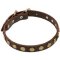 Fashion Exclusive Dog Collar with Circles for Cane Corsos