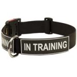 Multipurpose Sevice Nylon Collar with Patches for Cane Corso