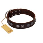 "King Arthur" FDT Artisan Brown Leather Cane Corso Collar with Spiky Plates