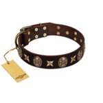 "Captain Hook" FDT Artisan Brown Leather Cane Corso Collar with Stars and Skulls