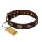 "Chocolate kiss" FDT Artisan Leather Cane Corso Collar with Old Bronze Look Oval Plates