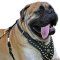 Royal Studded Leather Dog Harness for Bullmastiffs' Presentable Look