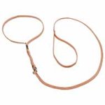 'Real Champion' Dog Show Cane Corso Lead