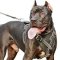 Protective Leather Pitbull Dog Harness for Attack/Agitation Training