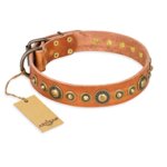 "Feast of Luxury" FDT Artisan Tan Leather Cane Corso Collar with Old Bronze Look Circles