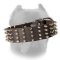 2 Inch Wide Walking Leather Spiked Dog Collar for Cane Corso