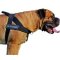 Multipurpose Patch Nylon Dog Harness for Bullmastiffs
