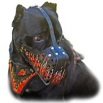 Comfortable Handmade Leather Cane Corso Muzzle