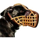 Fully Adjustable Leather Basket Muzzle for Cane Corso