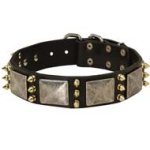 Designer Spiked Leather Dog Collar with Vintage Nickel Massive Plates and 3 Brass Spikes