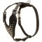 Leather Studded Dog Harness for Cane Corso with Silver Color Pyramids