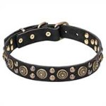 "Boho Style" Leather Cane Corso Collar with Massive Brass Decorations