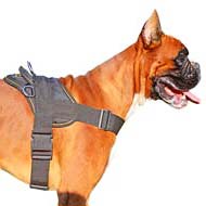 Most Practical Multipurpose Nylon Dog Harness for Boxer Dog
