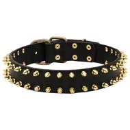 Designer Leather Cane Corso Collar with Brass Spikes for Fashion Walking