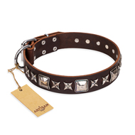 'Perfect Impression' FDT Artisan Cane Corso Brown Leather Dog Collar with Silvery Square Studs - 1 1/2 inch (40 mm) Wide