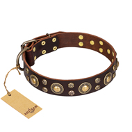 'Flower Melody' FDT Artisan Brown Leather Cane Corso Collar with Mixed Studs