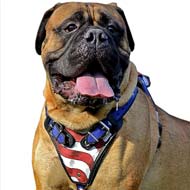 American Flag Painted Leather Dog Harness Designed for Bullmastiffs