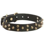 Leather Cane Corso Collar with Brass Pyramids
