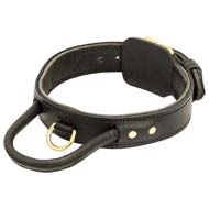 Agitation Leather Dog Collar with Handle for Walking with Your Cane Corso