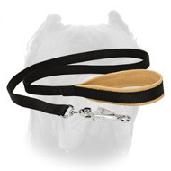 Lupine Nylon Cane Corso Leash with Padded Handle