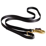 Tubular Nylon Waist Cane Corso Lead