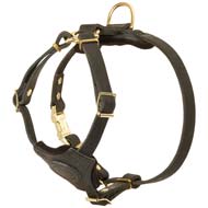 Small Adjustable Leather Dog Harness for Cane Corso Puppies