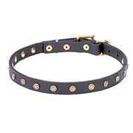 Fashion Leather Cane Corso Collar with Brass Stars
