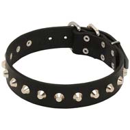 Tremendous Leather Collar for Cane Corso Decorated with Pyramids