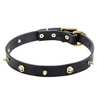 Designer Leather Cane Corso Collar with Skulls and Spike