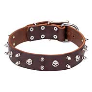 'Real Biker" Fashion leather Cane Corso Collar with Spikes and Skulls