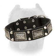 Deluxe Leather Cane Corso Collar with Nickel Plates and Pyramids