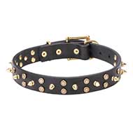 Designer Leather Cane Corso Collar with Stars and Spikes