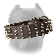 2 Inch Wide Walking Leather Spiked Dog Collar for Cane Corso