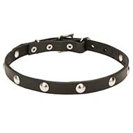 Stylish Leather Cane Corso Collar with Half-Ball Studs