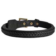 Elegant Braided Leather Dog Collar for Cane Corso Breed