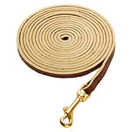 Extra Long Leather Dog Leash for Cane Corso