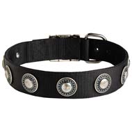 Fashion Nylon Dog Collar with Silver Conchos for Cane Corso Breed Dogs