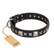 'Space Walk' FDT Artisan Cane Corso Black Leather Dog Collar with Adornments