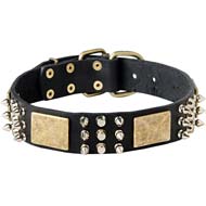 Designer Dog Collar for Large Breed Dogs Like Cane Corso