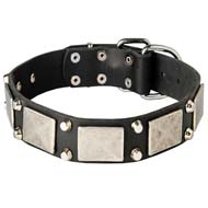 Designer Leather Dog Collar With Vintage Nickel Plates and Pyramids