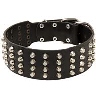 Designer Extra Wide Studded Leather Dog Collar for Cane Corso