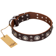 'Age of Beauty' FDT Artisan Incredible Studded Brown Leather Cane Corso Collar