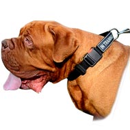 Custom Nylon Dog Collar With Identification Patches