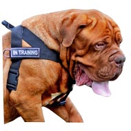 Multifunctional Nylon Rottweiler Harness with ID Patches [H17